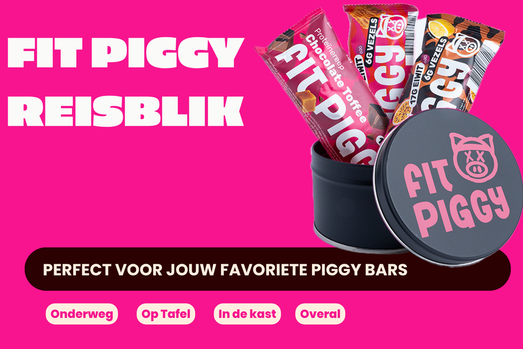Fit Piggy Reisblik
