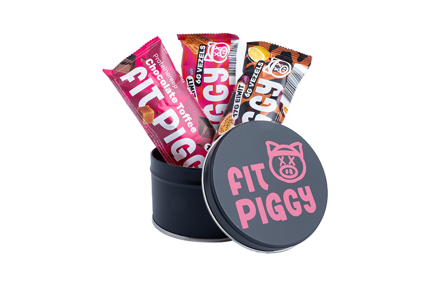 Fit Piggy Reisblik