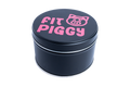 Fit Piggy Reisblik